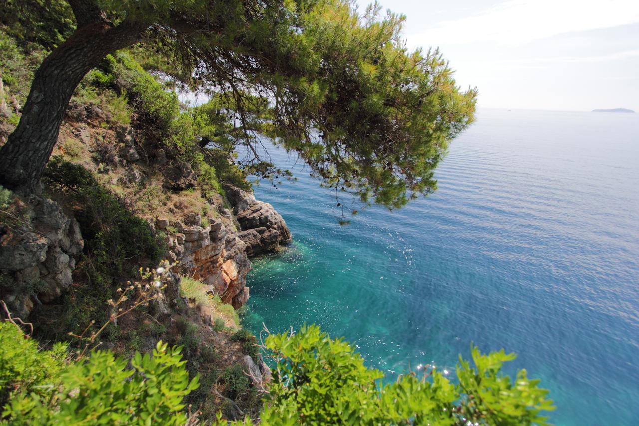 Kalamota Beach House Gornje Celo エクステリア 写真